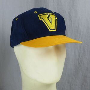 Vtg Vermeer Farm Equipment Embroidered Slideback Hat Made In USA Heavy Machinery